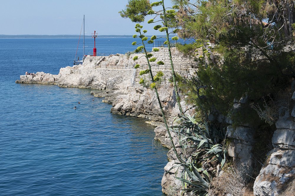 sveta marina